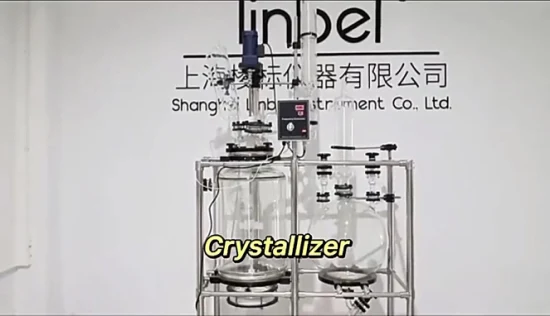 20L 50L 100L Equipamento de Laboratório Químico Filtro de Reator de Cristalização Reator de Vidro Filtro Nutsche com Garrafa Coletora